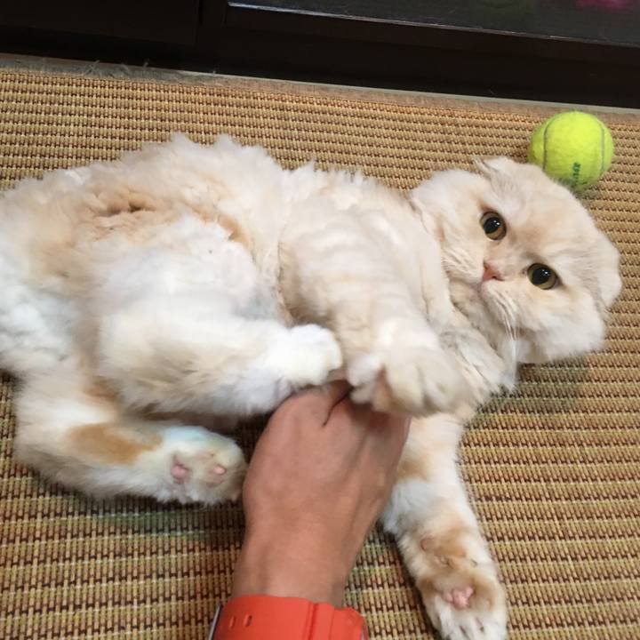 89770ab8 e38b 4765 a72e de20ea871ea1