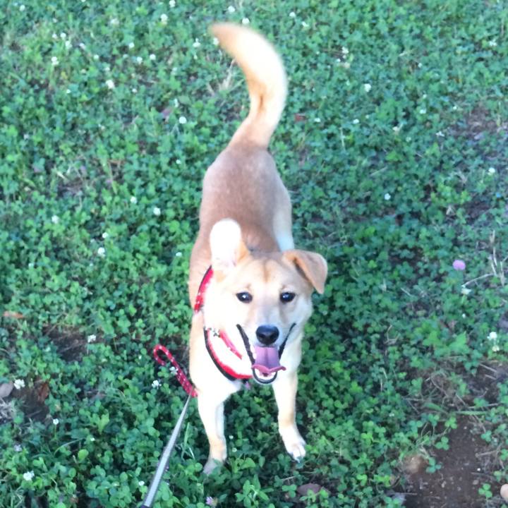 897778cd 8c3c 4fb3 b7ce 2461dc27bf0d