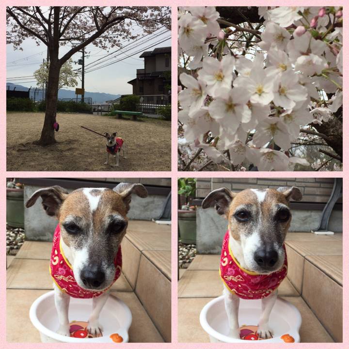 89778662 11e1 4b45 847b e4061e5e0572