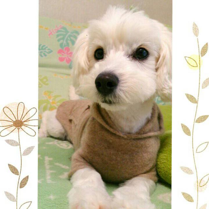 8977f1d3 db52 4e8c bd79 5409092bba56