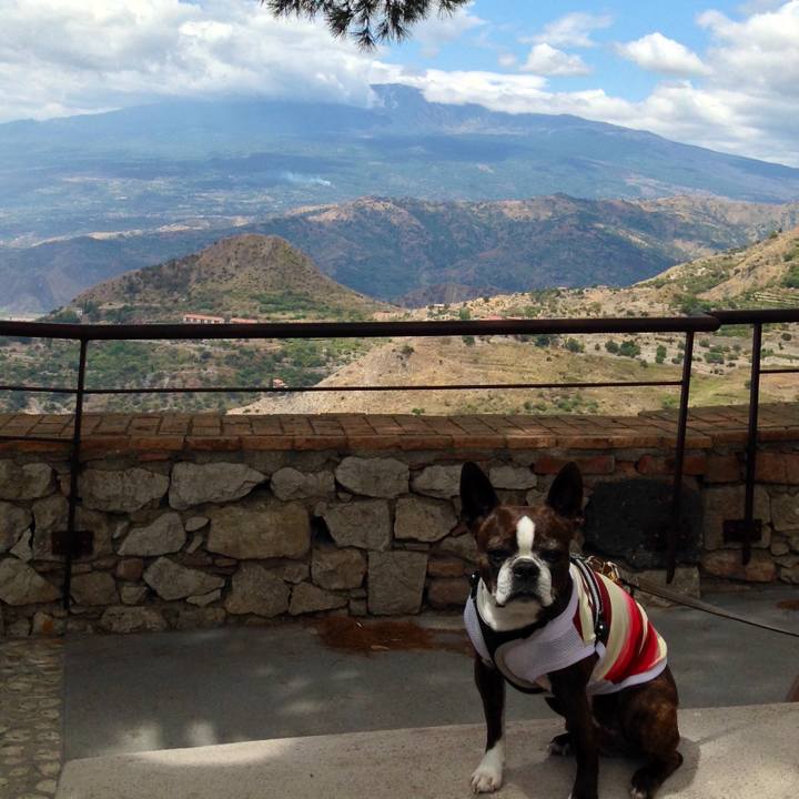 8977fae9 a2ee 4d90 a640 9f355958e906