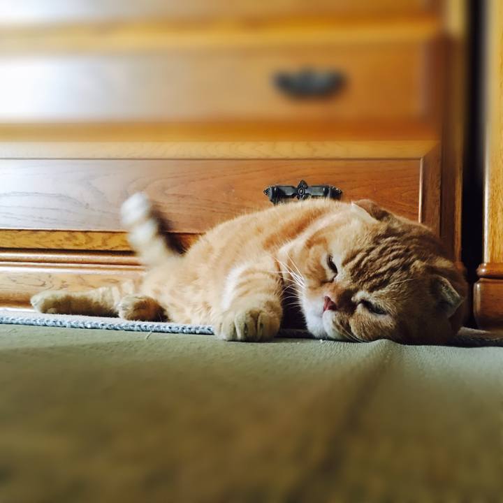 89785529 854a 4923 a499 366ba99ac4d8