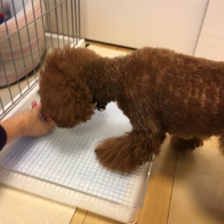 89788081 8a45 4bb1 b0ac 26cc3a0749d7