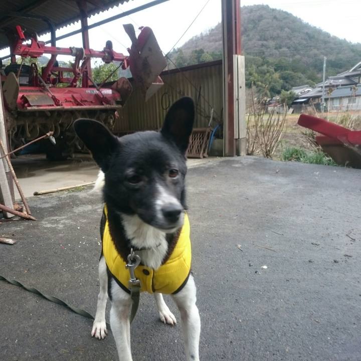 8978dc31 55ca 4d70 8079 2ca634c24c67