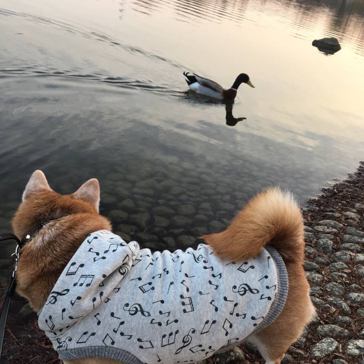 89794813 2a15 4369 8678 7fe07a3d4e6e