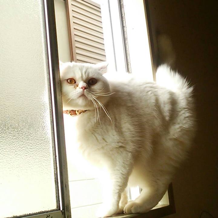 8979823c 6a46 4438 924e 923039a16728