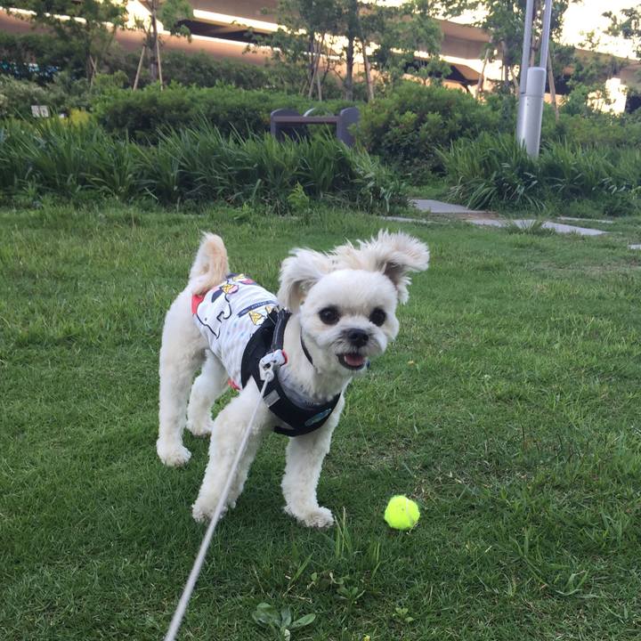 89798fe6 6dae 4441 bee2 2b6b510c76f2