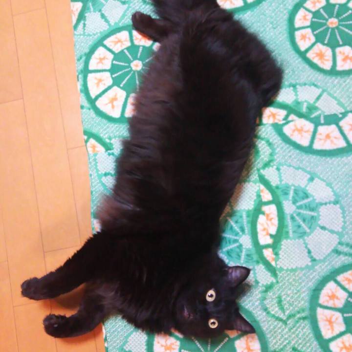 8979a2b7 8401 4aac b158 59925cac7fcb