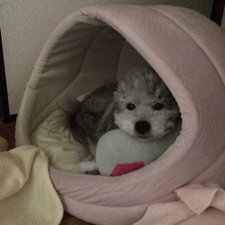 8979f271 7cfe 4440 8fba bf4dfa8b45ff