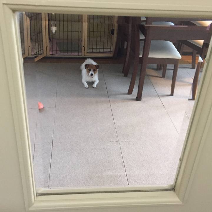 897a0f9f fe0b 45e9 b04b 3dca7ab44e93