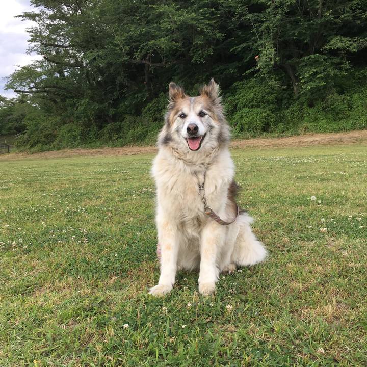 897a1bec 8a08 4275 8d86 5fee19480020