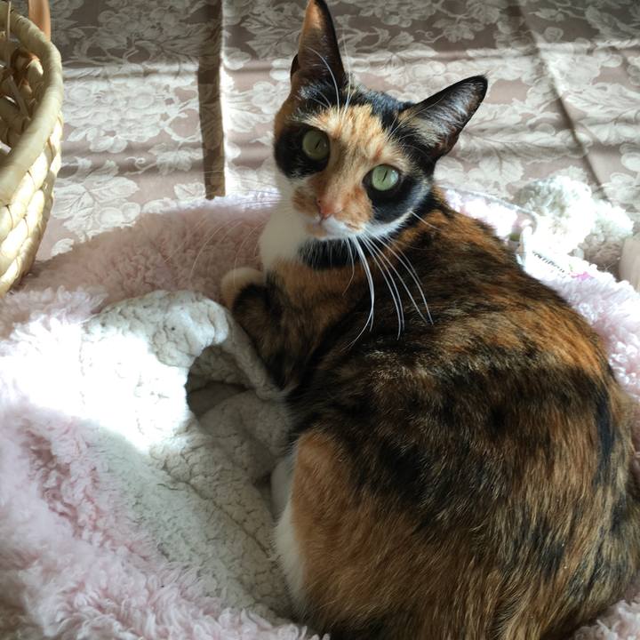 897a65f0 2078 4765 9dd5 9204ab785a10