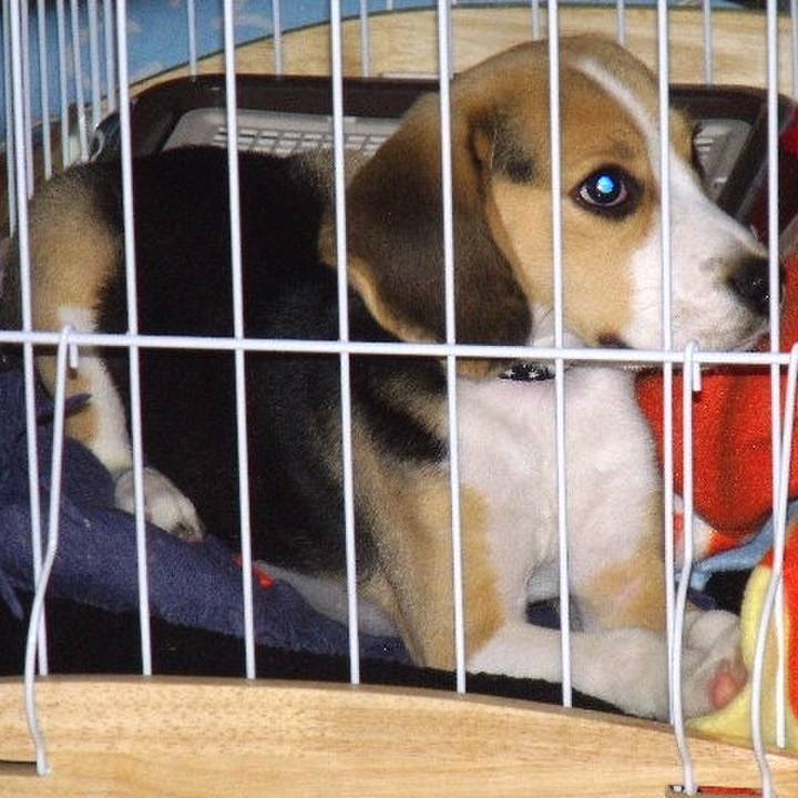 897b6a79 c112 49d8 9e95 fa45b431e6c2