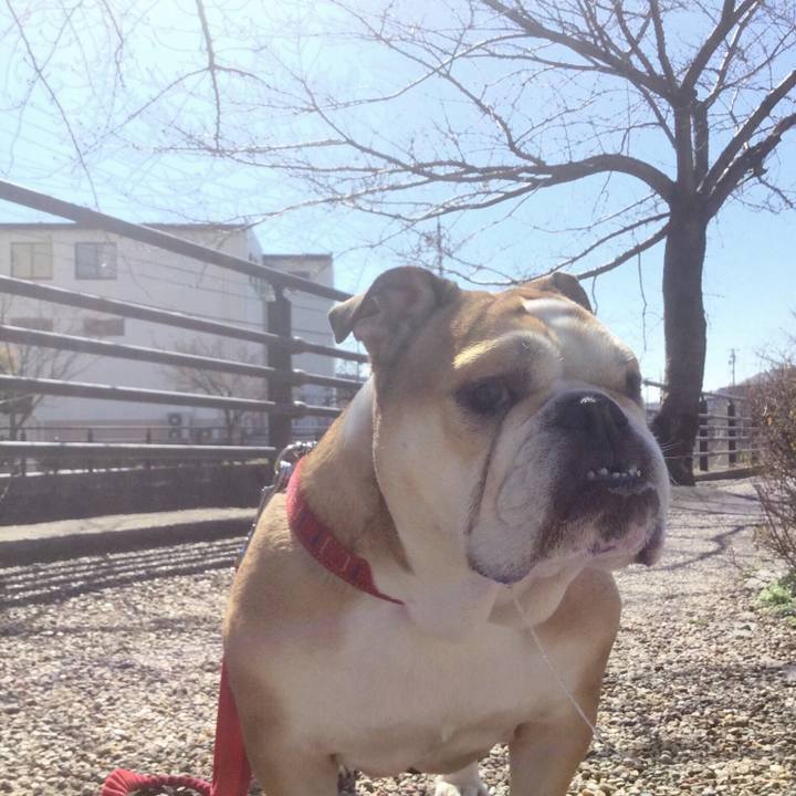 897bab13 0b4e 4474 bb75 d9ddb5ad9855