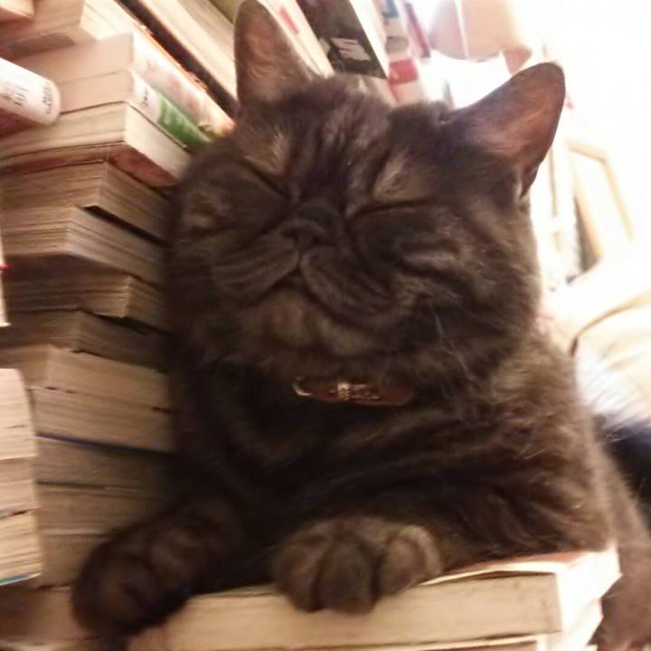 897cab61 6ffb 4078 ae92 81f44b462711