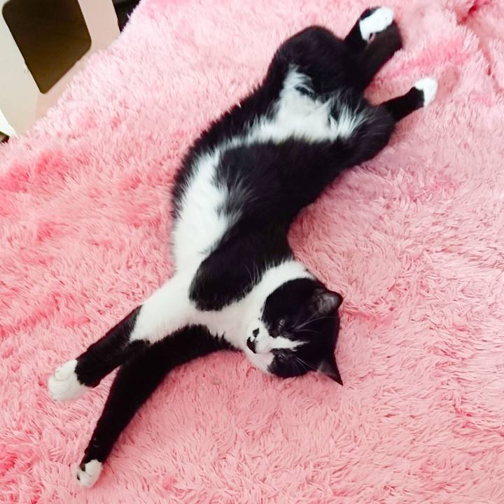 897d5912 2ae7 4bf7 8e1a 645c70ff6f86