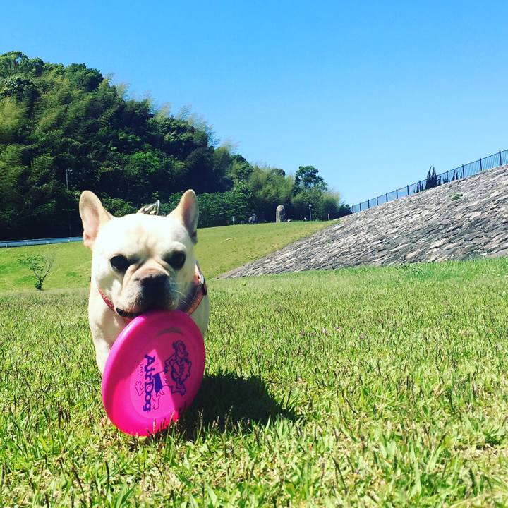 897d7e13 be24 420d 97f1 261de50c63f1