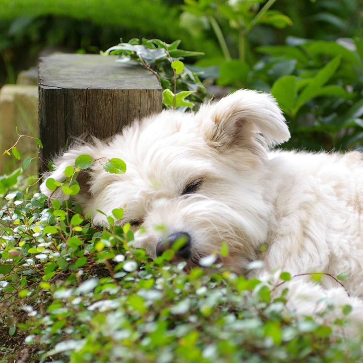 897e26f6 a0f1 444f 9130 a21b291e05ff