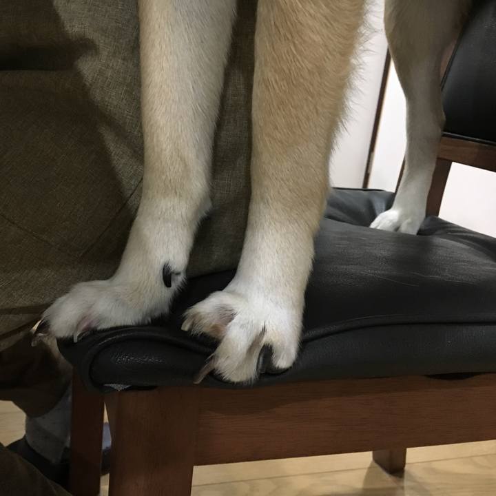 897fb70f 8058 4101 afc6 3f611ef952ef