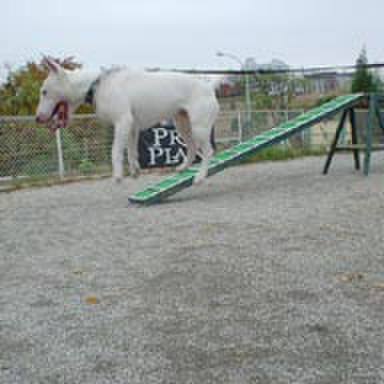 898017f8 9804 4c2c a611 bfaf5e9626c0