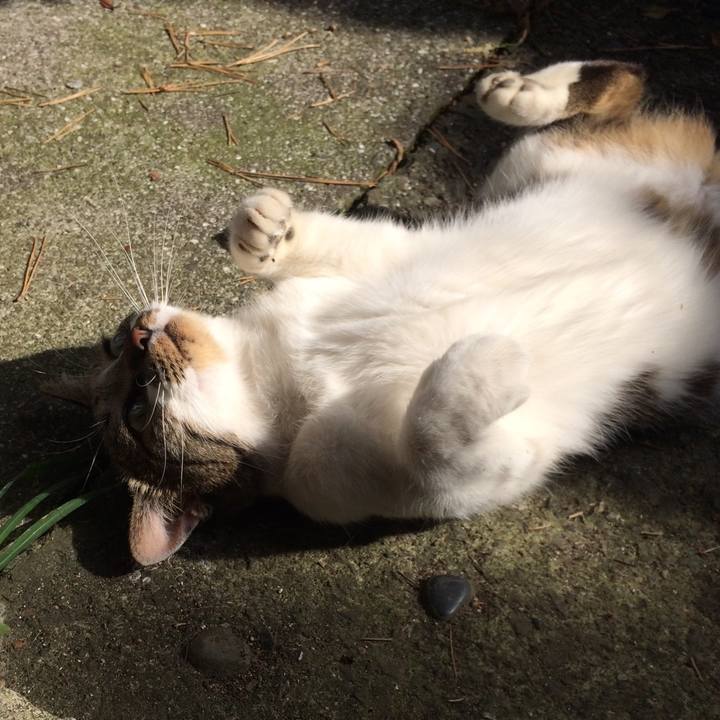 898041af 1a73 4505 a68f 5f3a16f9fbc2