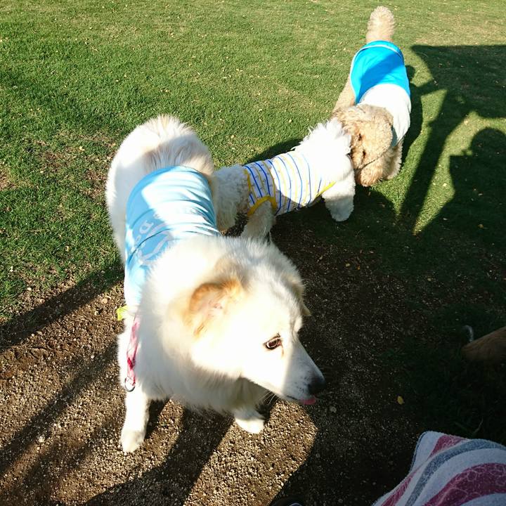 89816831 42bd 43e1 bbf8 ad6d7e41b97b