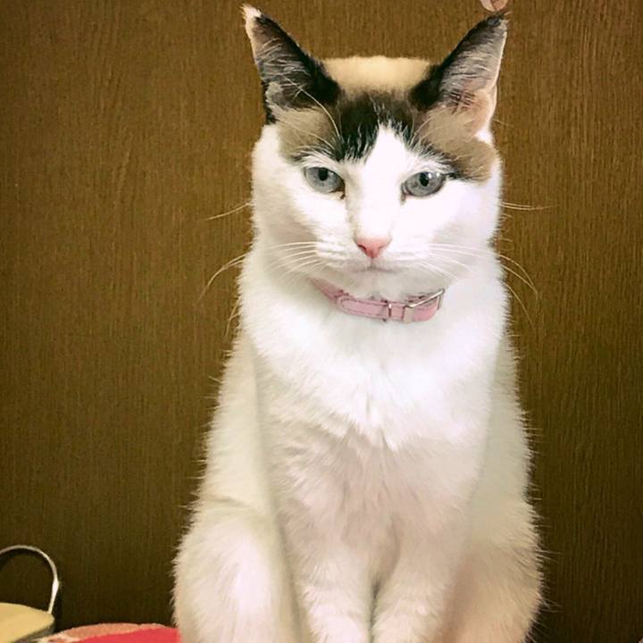 8981843c e512 49be ac8c 525fe8d5f5b2