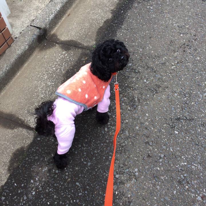 89823858 d46e 4bde 9e53 1e5241933a07