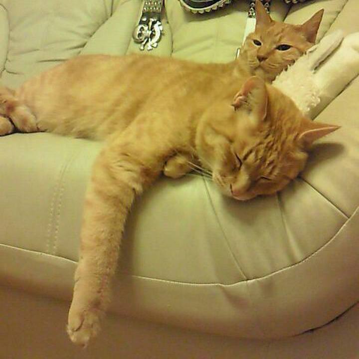 898248f1 3b65 4b57 82cf f63b5a9439b3