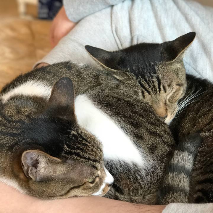 8982a406 cd01 4df7 86ff dbf2b5e75315