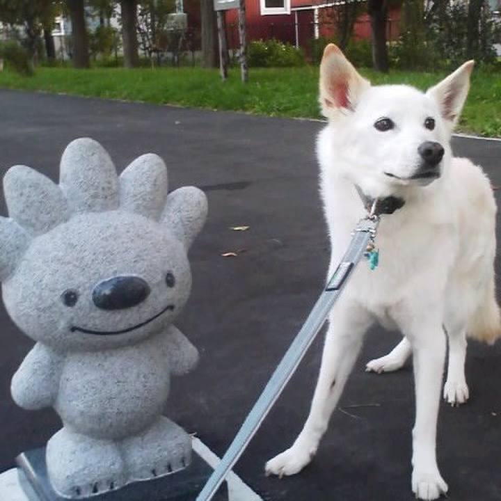 89846983 3bce 4305 ba35 85c0284f1905