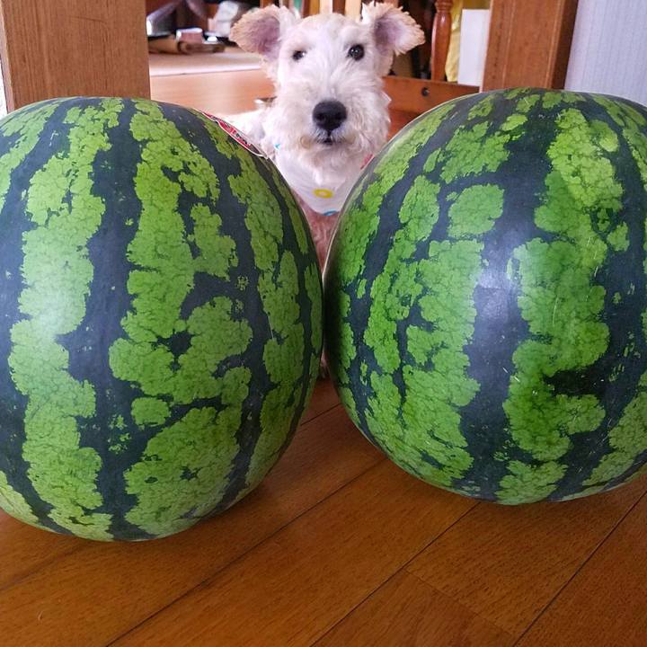 89846f0e 3972 410b bbd6 32a222ebb927