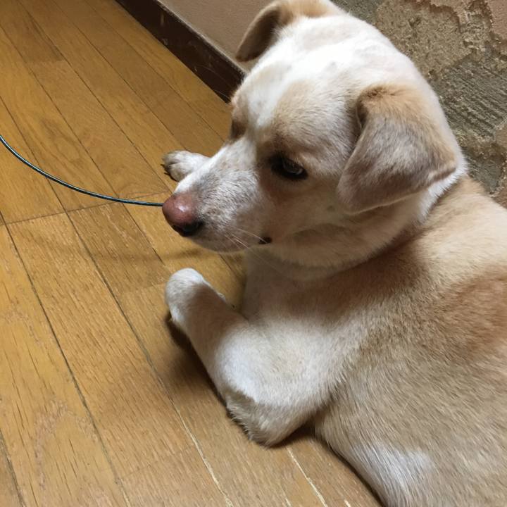 898533c1 00f0 4e25 b633 cb4ee64ef78b