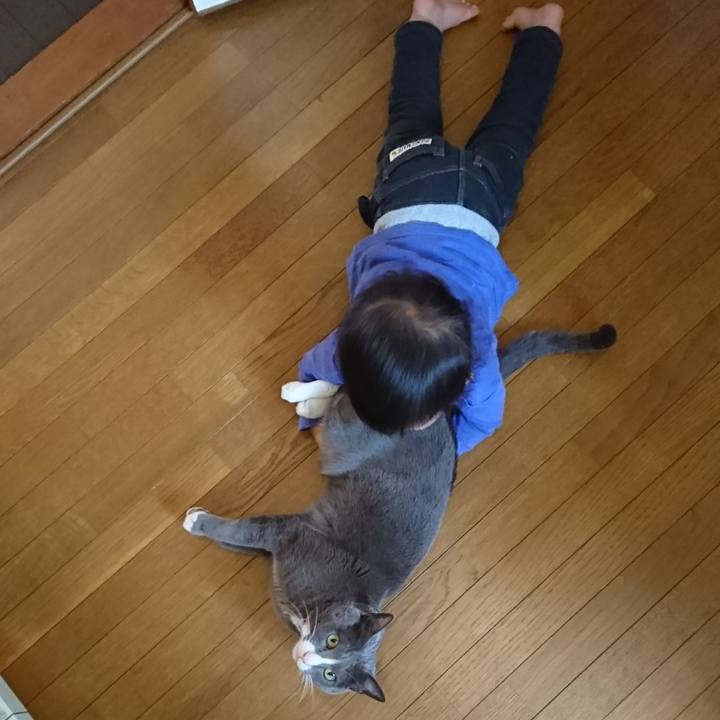 89854957 f63c 4357 a1b7 961ea4176ff5