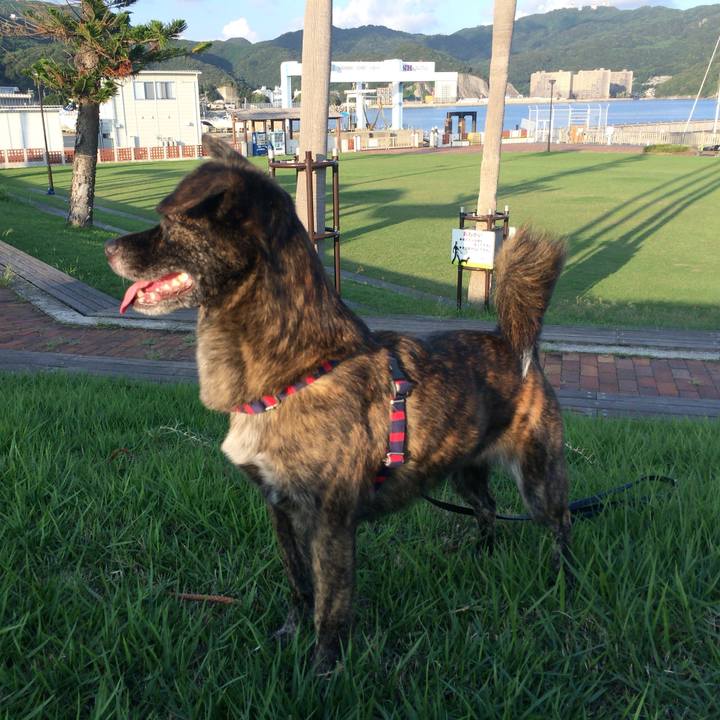 8985f9d7 7f63 4991 a01d c046d8364e70