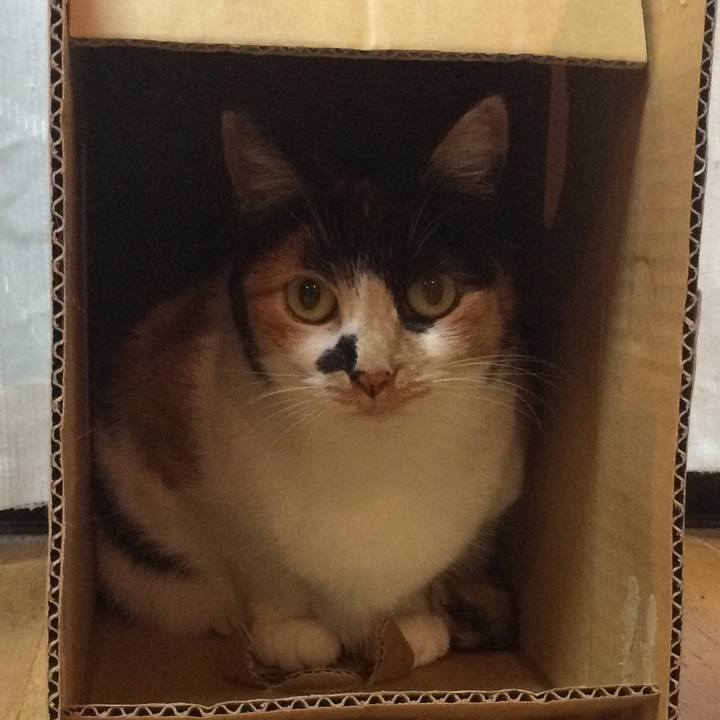 89868922 7eed 4ae6 b515 aa6b7ac577ab