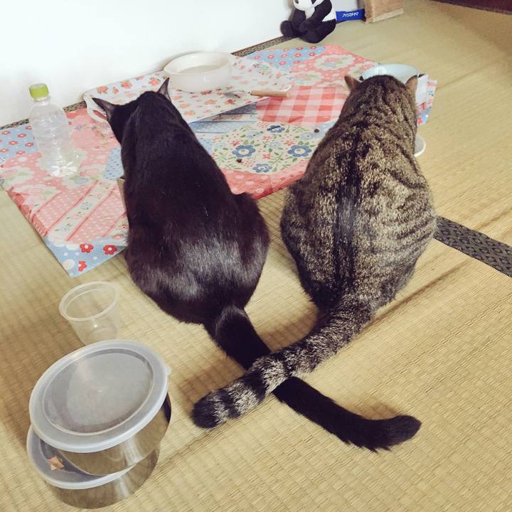 89871758 dd0c 48e8 a050 e8b57e3ec0d6