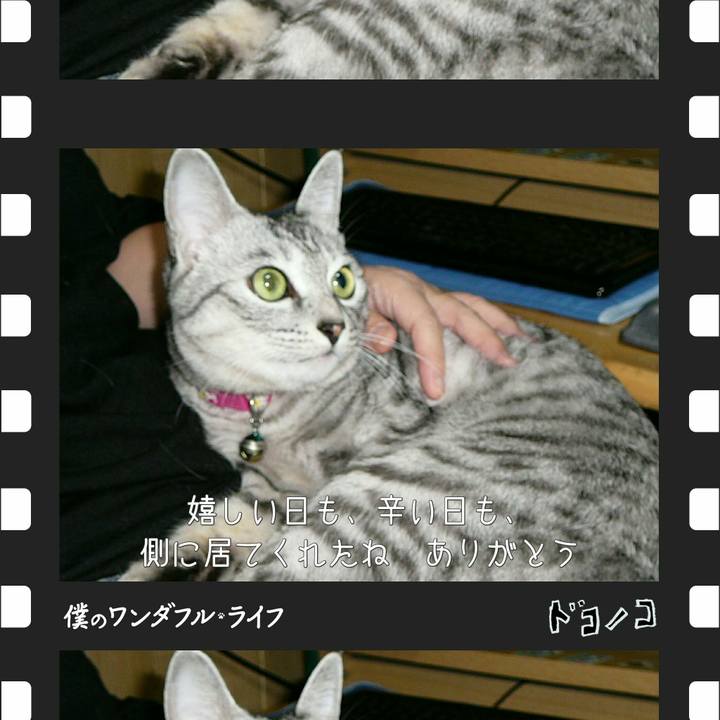 898774a0 96e1 4165 bc47 771758b2b9e1