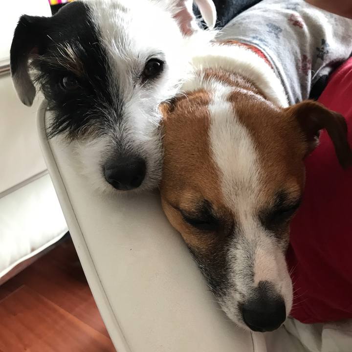 8987e653 ec7b 419b b5ad 41e11937e9f9