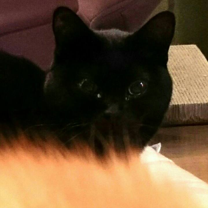 89880b84 b74b 4d1c 817e b2716eb5a8ee