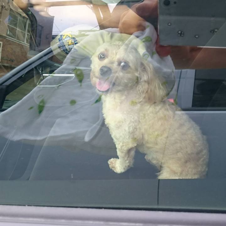 898858c3 9bbb 43b1 a9a5 e0429e12e094