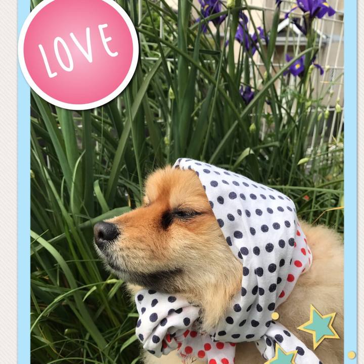 8988cda0 17db 466b 8d1f dde263d95e4e