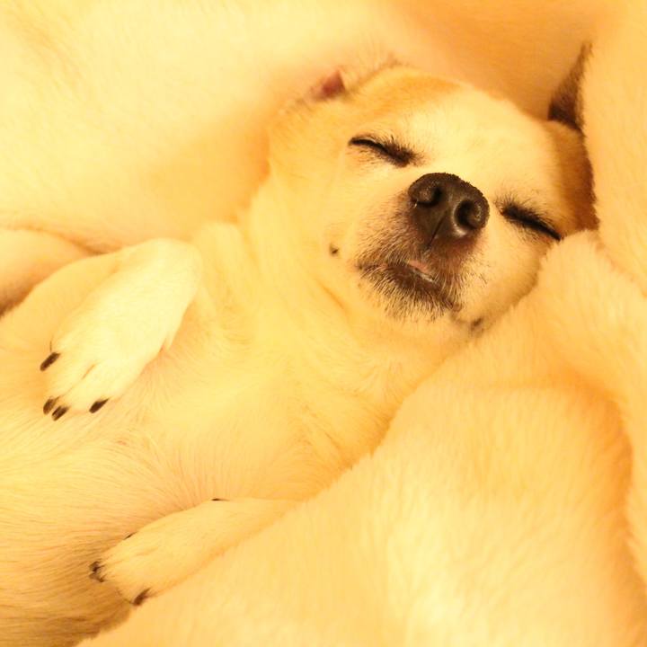 8988f588 1944 4d3d 80c1 1f78f6788ac5