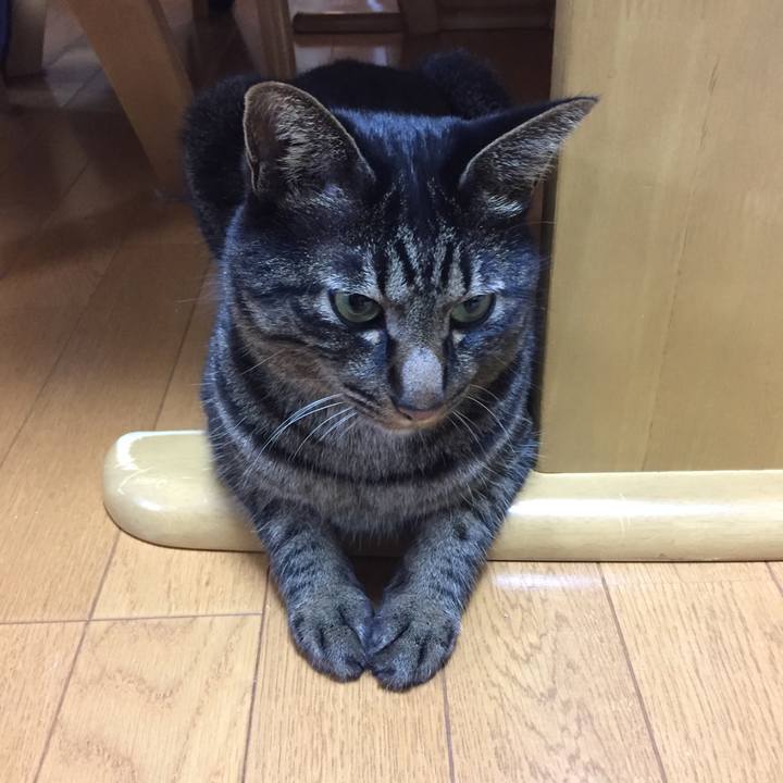 898aa9ec 9a0d 40d5 8643 f834c2ca4aff