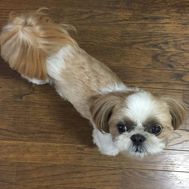 898acfe0 fbc5 4822 af71 cab08446727c