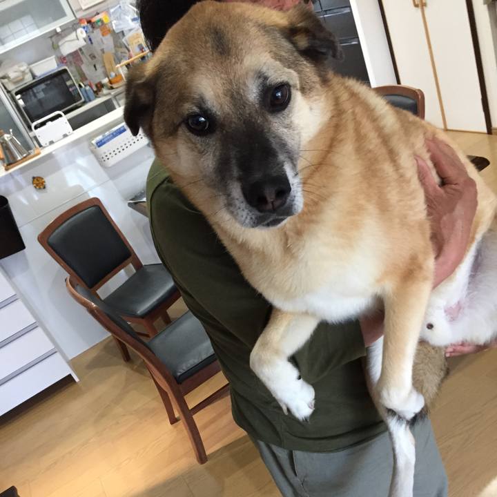 898b0740 fb9a 4db5 bf77 64df65752aec