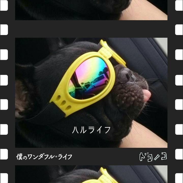 898becea f432 4e64 866e 5cc1ad7bda72