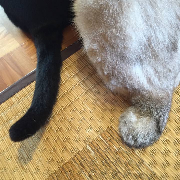 898c03ab 266b 44c8 b6c9 d7959b81947a