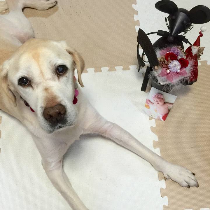 898c26e3 89cc 4775 a092 221aa386afdb