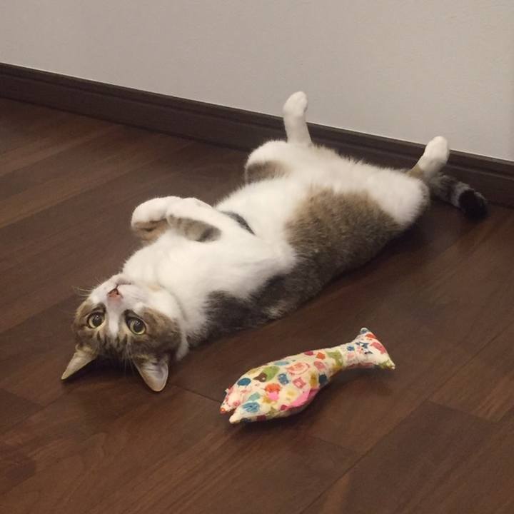 898c7db2 47e7 4863 bfc0 7a2335a005aa